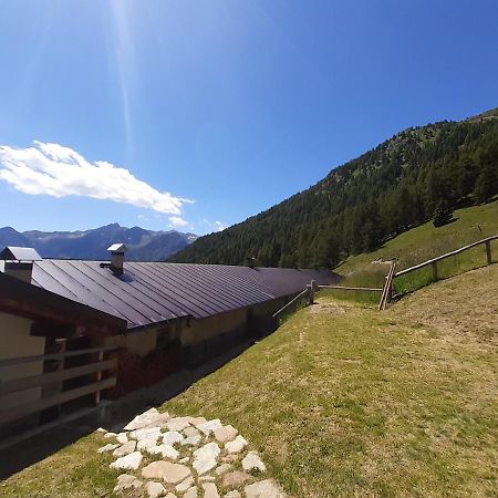 Restor Natura Malga Mondent Ξενοδοχείο Pracorno di Rabbi Εξωτερικό φωτογραφία